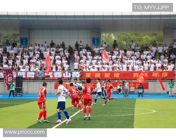 深度剖析苏超联赛格局与豪强争霸及未来发展走向全景趋势洞察观察